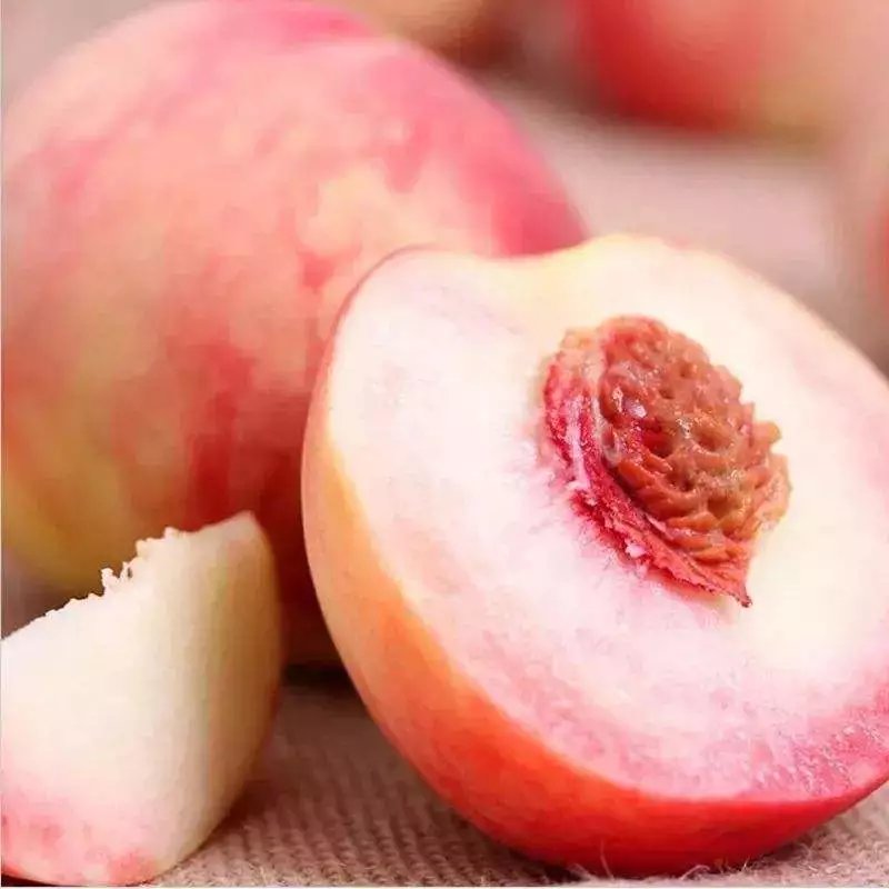 四川龙泉皮球桃 四川龙泉水蜜桃现摘新鲜应季水果脆甜可口超甜5斤湖景