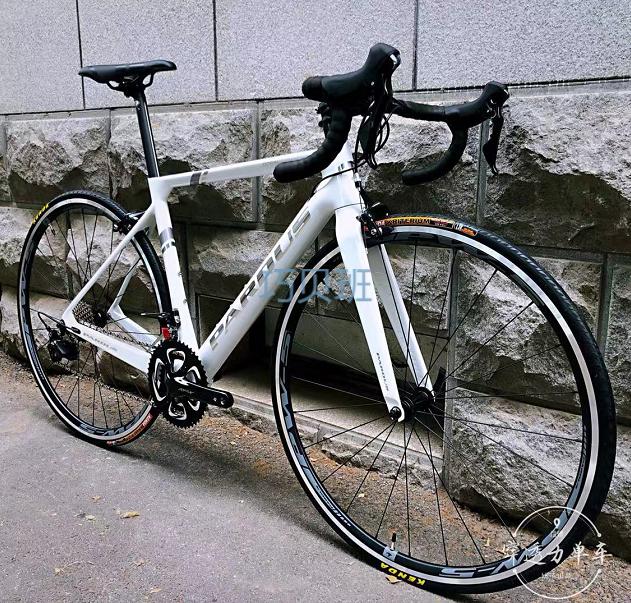 瑞豹公路车知更鸟 瑞豹pardus robin sport知更鸟碳纤维公路自行车
