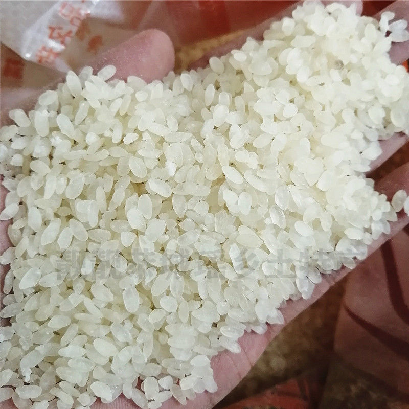 恭城油茶炒米 广西桂林恭城油茶配料小吃 炒米灌阳油茶阴米米花原料油