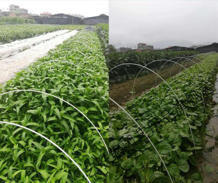 玻璃纤维棒拱竿小拱棚支架菜地拱杆多肉植物育苗棚实心骨架艺联家6mm