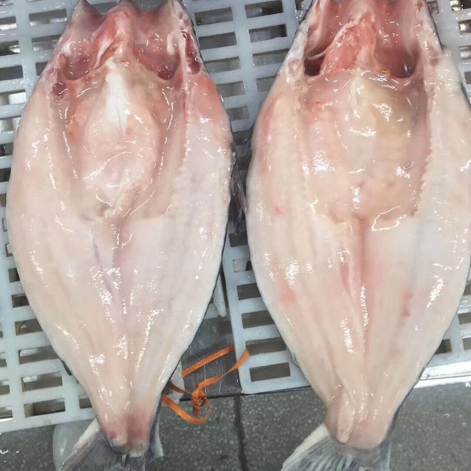 开背巴沙鱼湄公鱼巴沙松子鱼烤鱼纸包鱼冷冻无刺龙利鱼 腌制湄公鱼700