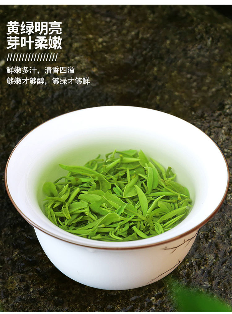 云舵 精品松阳绿茶2022明前新茶高山云雾绿茶正宗松阳香茶浓香茶叶250