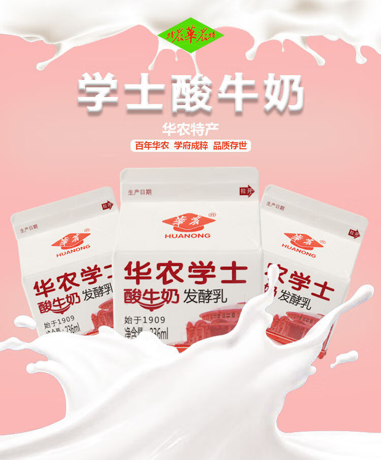 华农学士酸牛奶236g14杯保证夏季加冰网红酸奶广州特产14盒学士酸奶