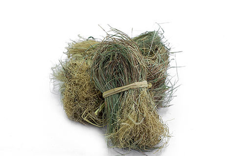 百芝兰中草材金丝草猫毛草日晒干散装金丝猫毛草250克