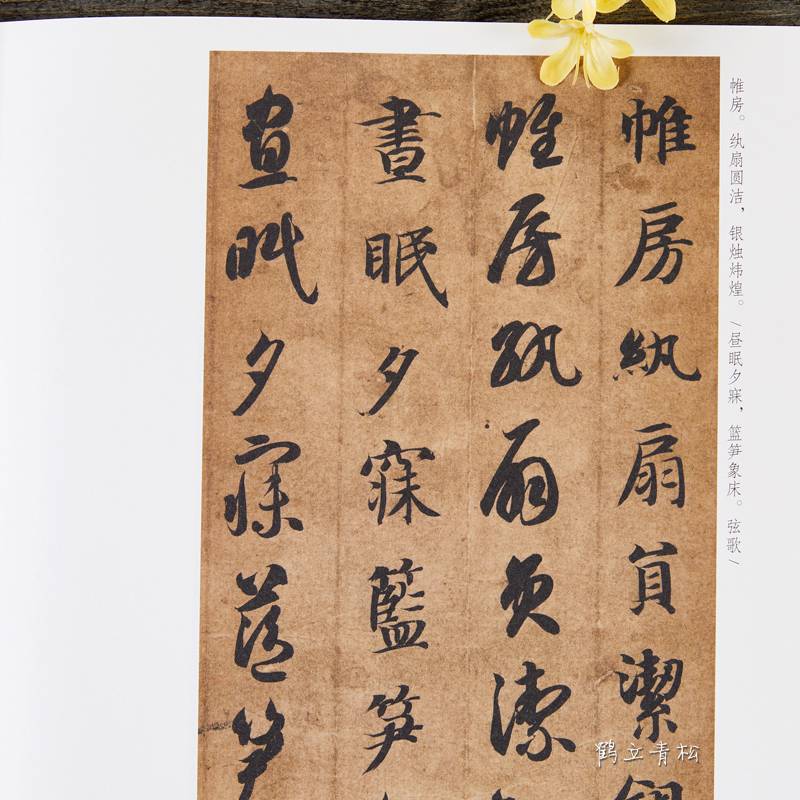 智永真草千字文中华书局16开草书楷书毛笔书法字帖中华碑帖精粹三简体