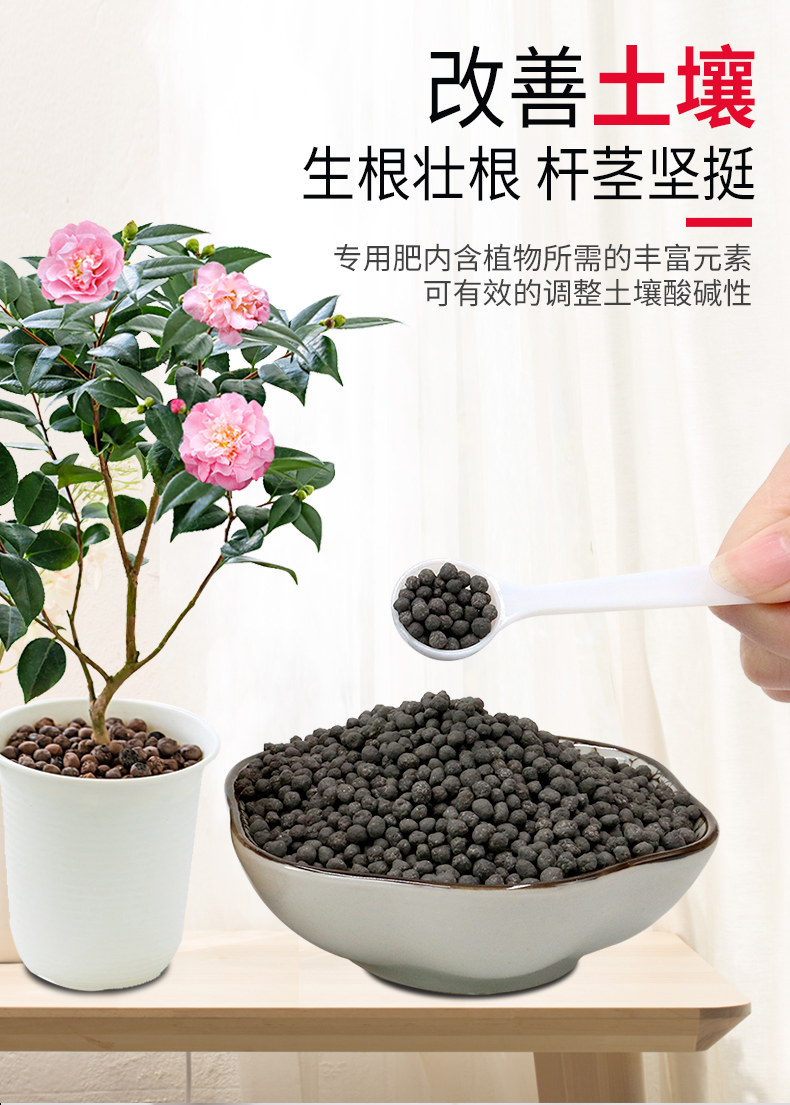 茶花肥料 专用肥盆栽家用长效复合肥有机酸性营养土山茶花专用肥 磷酸