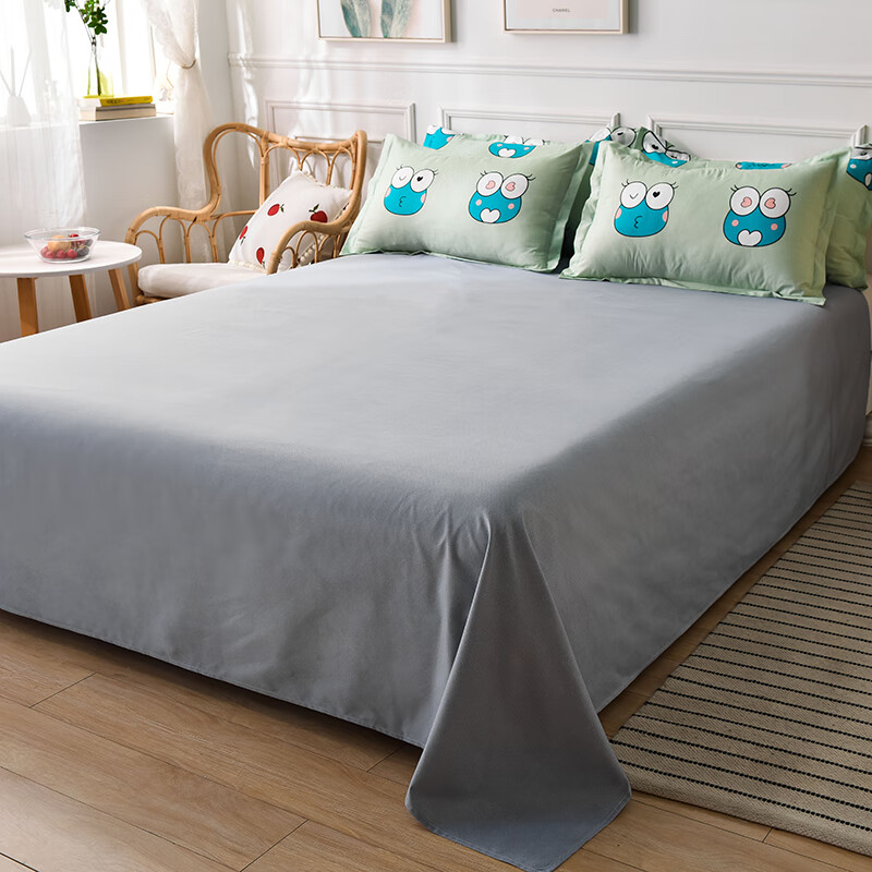 矢向家纺特价新款亲肤芦荟棉床单床盖床垫少女双人ins北欧学生宿舍