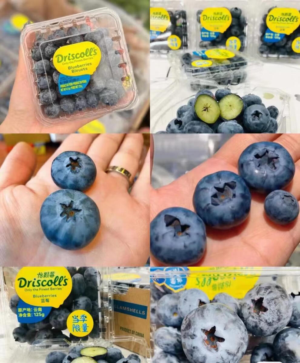 源外园(顺丰空运)云南怡颗莓蓝莓王driscolls 当季大果 孕妇水果 新鲜