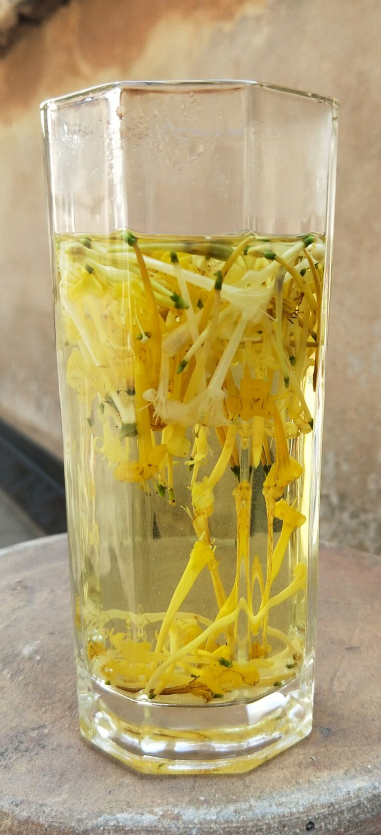 金银花茶云南野生金银花罐装散装精选自然晒干100g 干100g【图片 价格