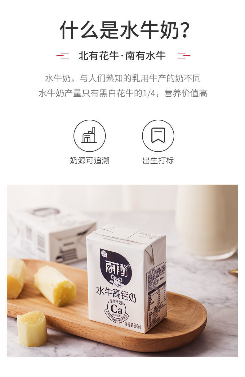 百菲酪水牛奶广西水牛奶200ml10盒百菲酪水牛奶20盒