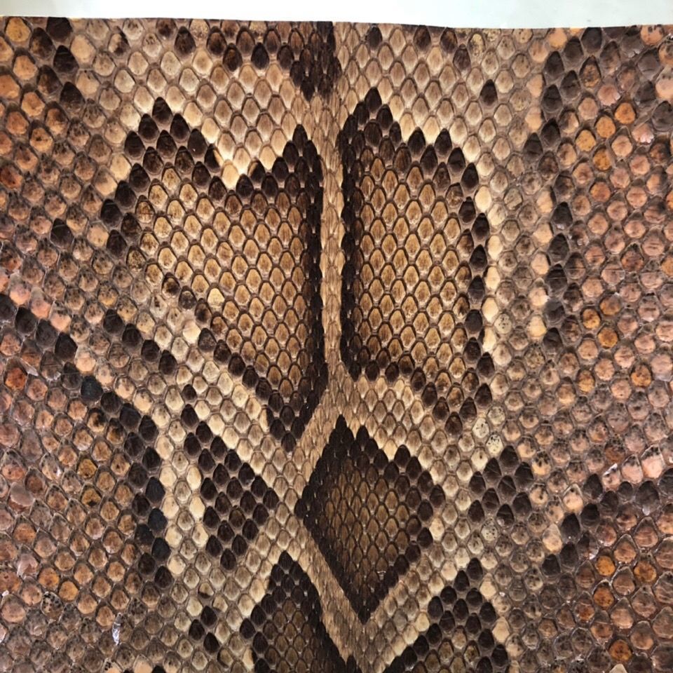 二胡皮二胡琴皮高胡中胡坠琴皮三弦皮热瓦普扎木念蒙皮二胡蟒皮 长13