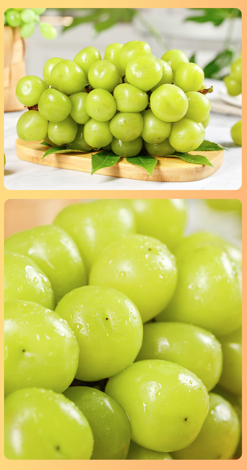 晴王葡萄阳光玫瑰新鲜当季水果无籽香印青提子 蓝色海洋礼盒装 单粒15