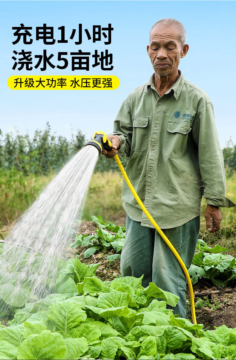 户外钓鱼抽水泵 充电式浇菜神器机电动自吸家用小型农用菜地淋浇地