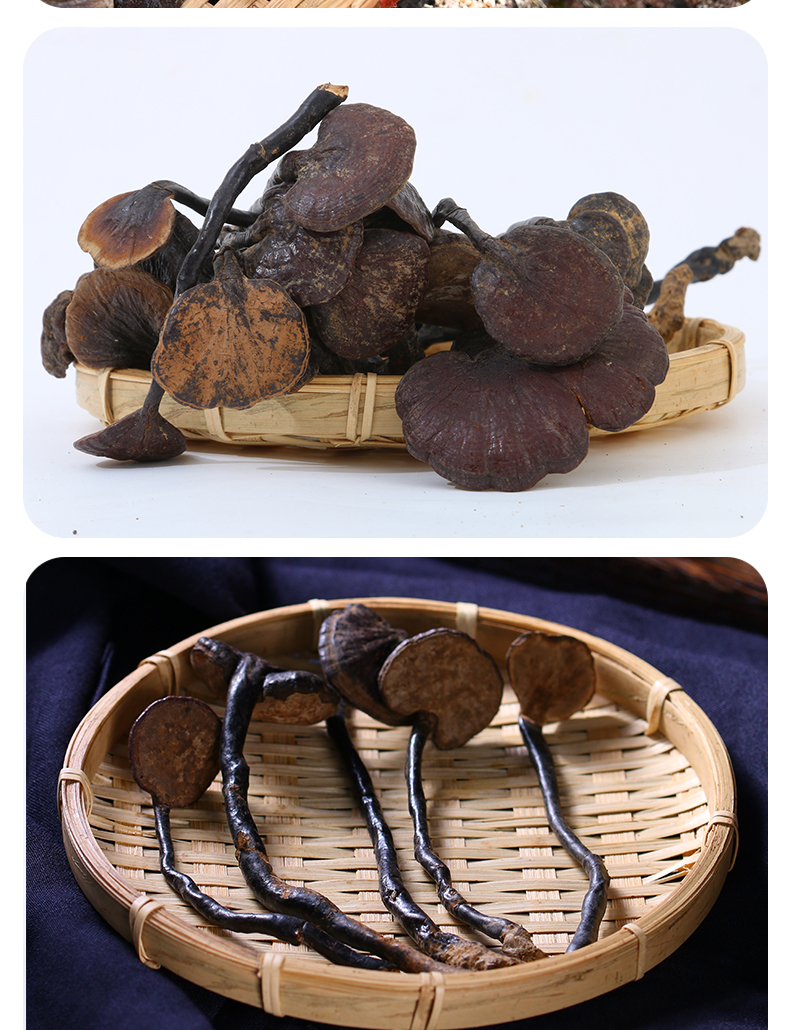 云南深山采摘天然长颈竹灵芝小红灵芝紫灵芝特级500g