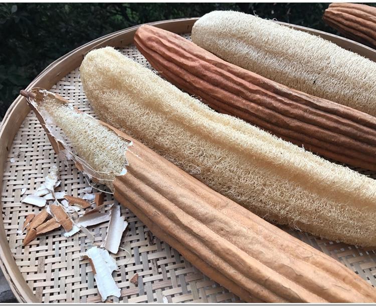 丝瓜瓤老时家新货丝瓜络洗碗丝瓜瓤新品老丝瓜用水瓜壳通络无硫 去皮