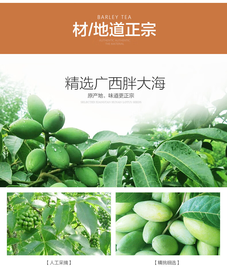 杞里香胖大海花草茶148g罐装圆果胖大海润喉茶一件胖大海148g装