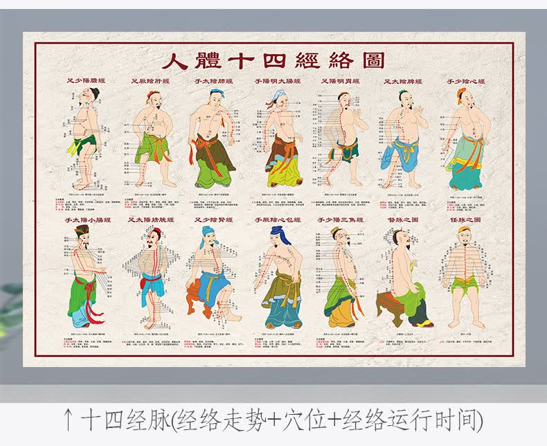 2022新款可狄人体经络穴位图大挂图全身高清穴位中医艾灸推拿按摩针灸