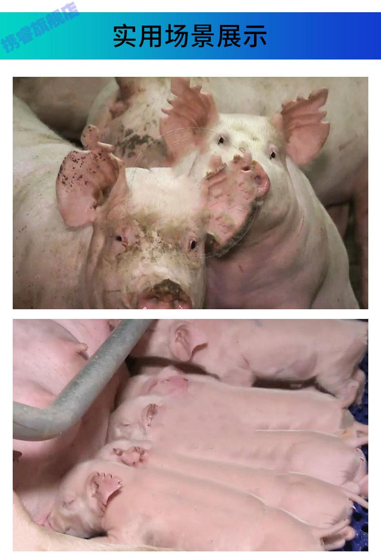 猪用耳缺钳耳洞钳子u型耳孔钳子v型记号打孔钳圆孔剪耳钳兽用器械精品