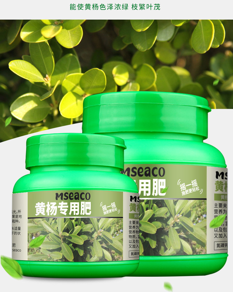 黄杨专用肥雀舌黄杨盆景肥料树桩米叶珍珠营养液室内外造型有机肥