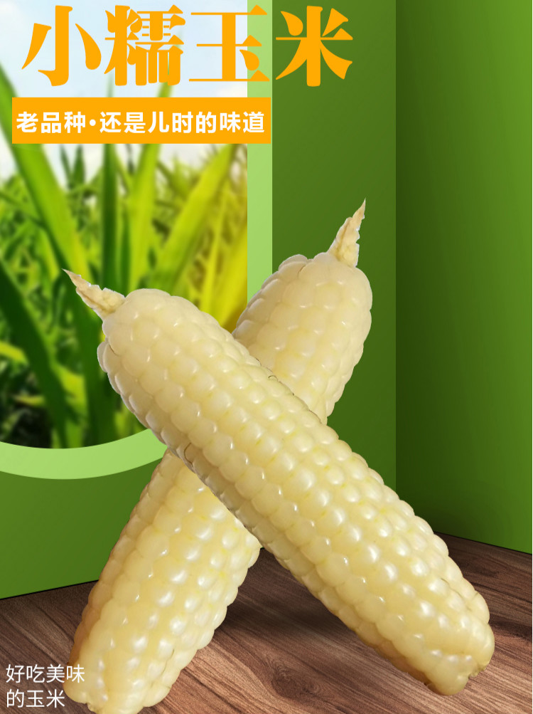 西双版纳拇指玉米2kg傣家老品种早餐特产若莲善品傣家拇指小糯玉米1kg