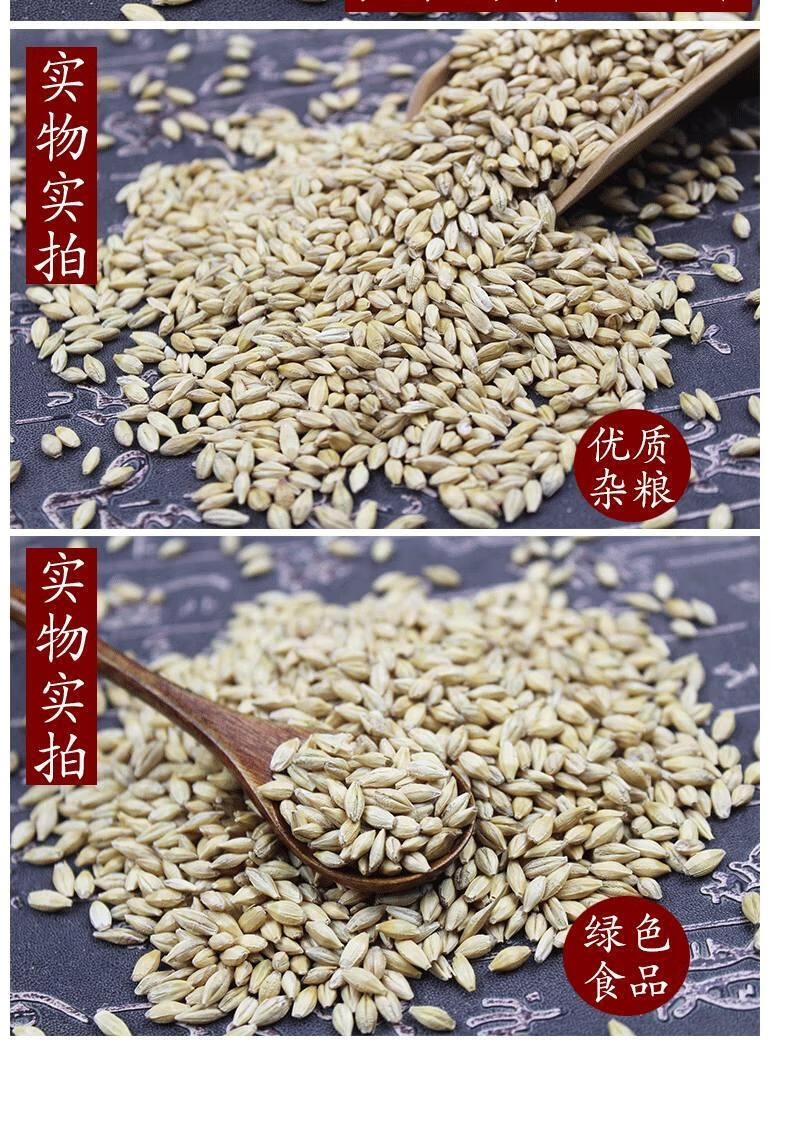 大麦仁和小麦仁的区别图片
