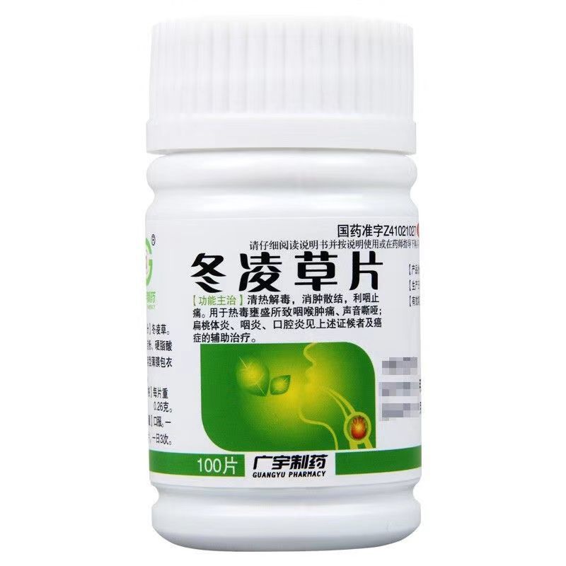 广宇制药 冬凌草片0.