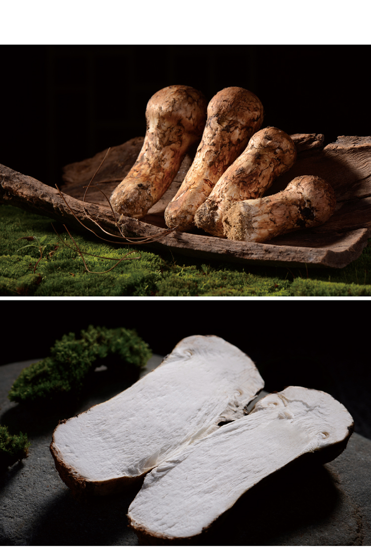 香格里拉 新鲜松茸 云南生鲜菌菇 松茸礼盒1000克装 7-9cm 1000克