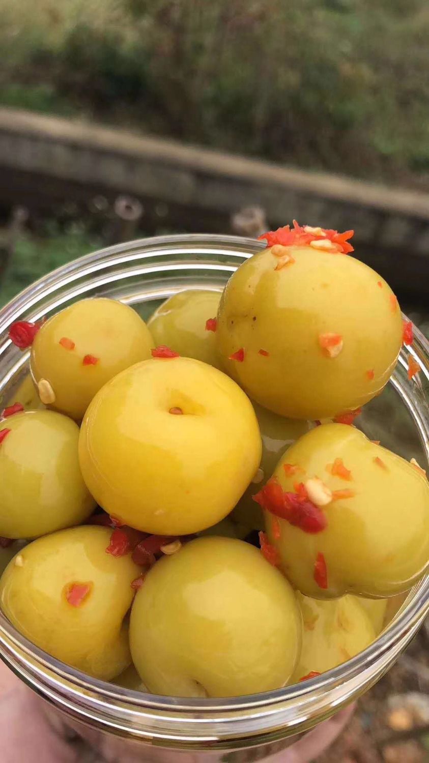 广西横州市酸李子腌制沾椒脆甜适用珍珠三华李 辣李子300克 辣刀豆300