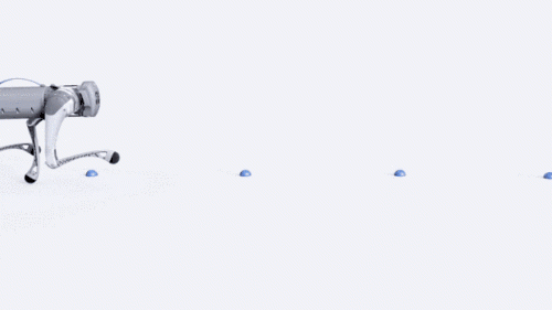 f69acc4b4b85070f.gif