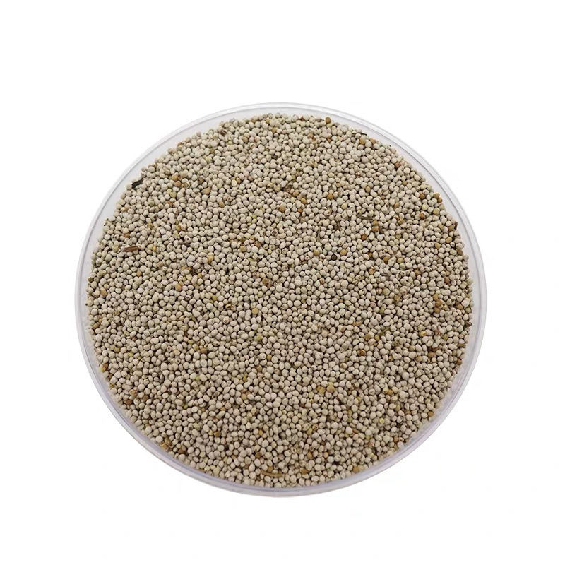 鸟食苏子鸟食白苏子 白苏籽 鹦鹉金丝雀玉鸟黄雀鸟粮苏子粒 白苏子四