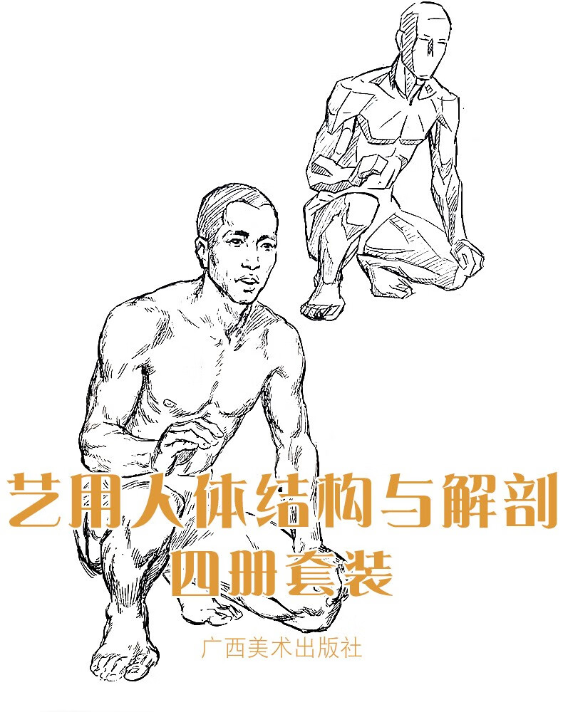 4册套装艺用人体结构教学弗里茨艺用人体解剖j夏帕德艺用人体解剖完全
