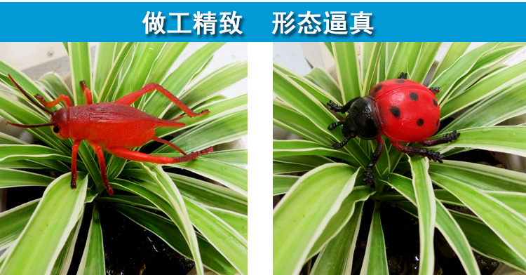 昆虫玩具软胶仿真昆虫动物模型套装爬行甲虫蝴蝶蜻蜓蜘蛛儿童玩具认知教具大号瓢虫款礼包 送收纳箱 图片价格品牌报价 京东