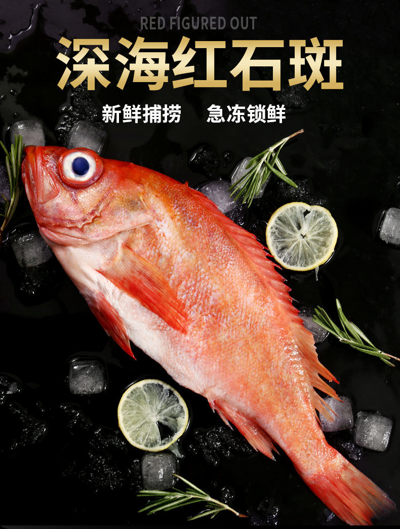 红石斑鱼整条新鲜活冻海捕大龙胆鱼富贵鱼深海鱼速冻锁鲜海鲜水产腾旺