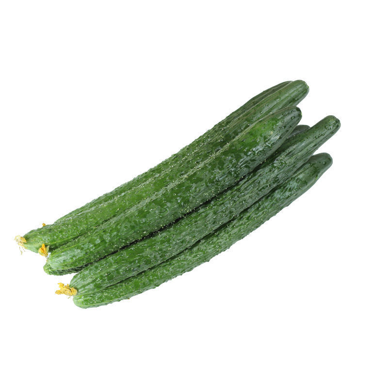 新鲜刺黄瓜农家现摘蔬菜黄瓜应季天然青瓜孕妇蔬菜类可口生吃黄瓜 3斤