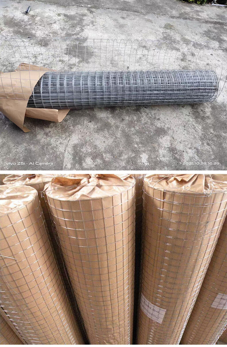 供应不锈钢电焊网隔离网阳台防鼠网防护网铁丝网围栏筛网网片挡猫 1