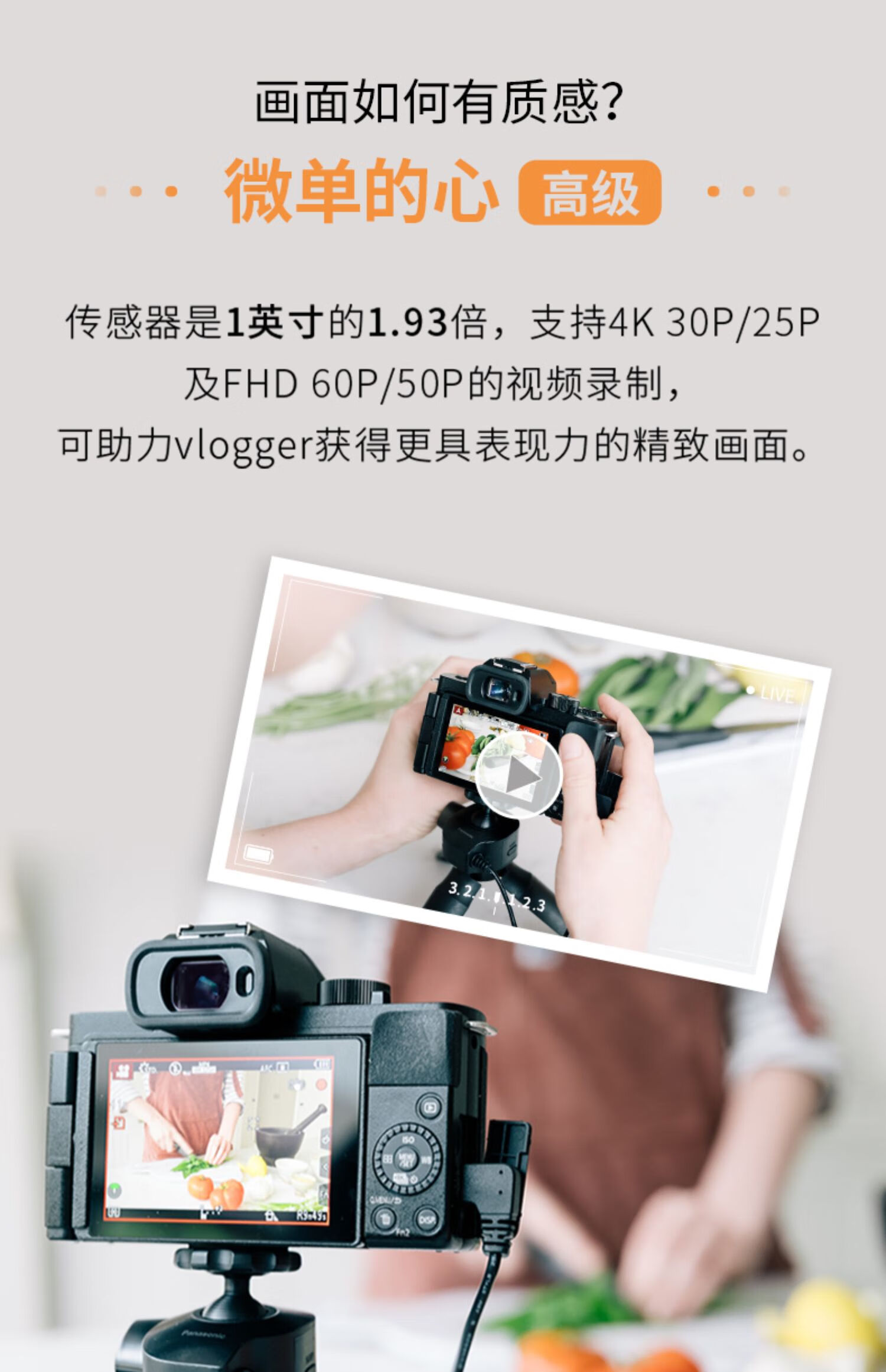 松下(panasonic) 松下g100m 微型单电套机 五轴防抖vlog 官方标配