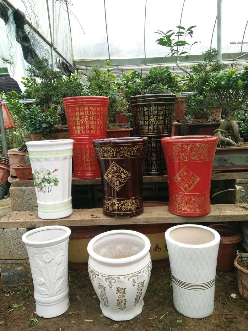 高筒陶瓷花盆特大号发财树幸福树平安树绿植花卉盆栽室内外客厅圆肚