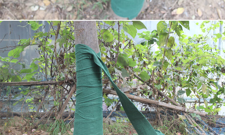 缠树布带包树布布条树杆保温保湿保水无纺布大树防晒缠绕带防寒保暖