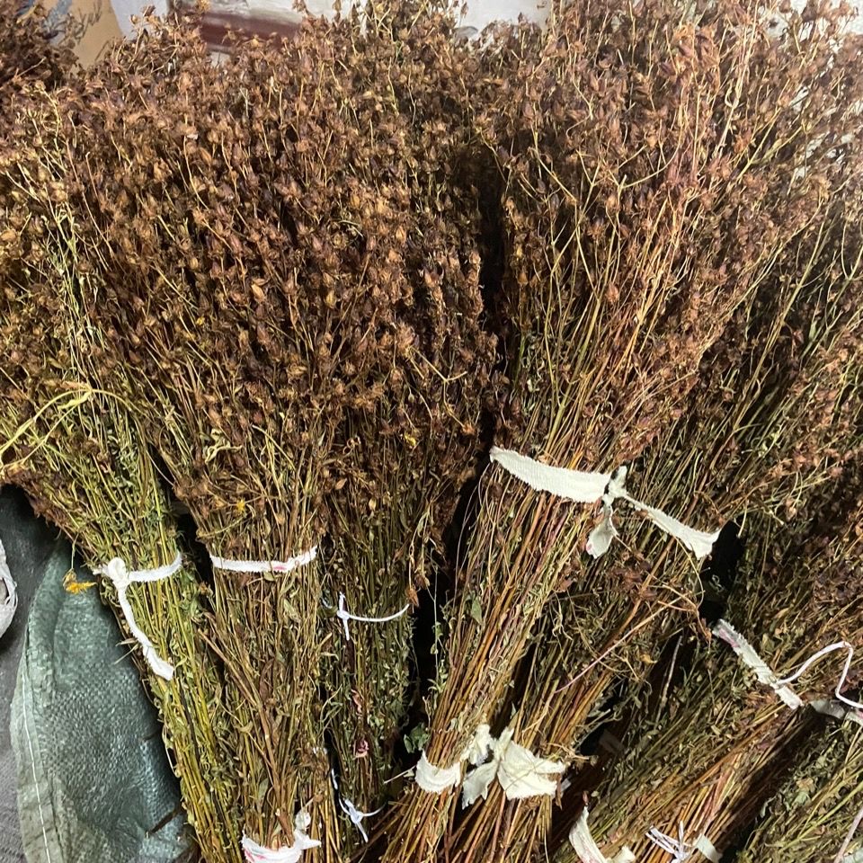 新货东北大兴安岭野生稳心草天然茶东北特产稳心草茶泡水泡酒100g