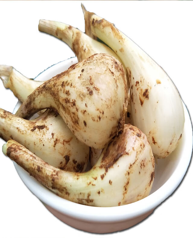 无叶荞头新鲜蕌头现挖农家茭头江西特产蔬菜教头多规格可选 无叶荞头1