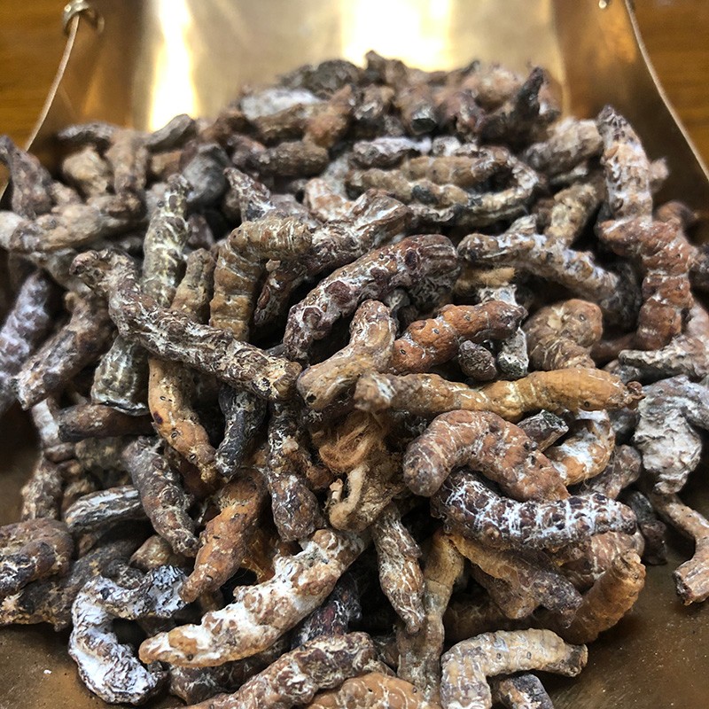 融草集 炒僵蚕 别名白僵蚕 僵虫 天虫中药材店铺药材大全 药典标准 炒