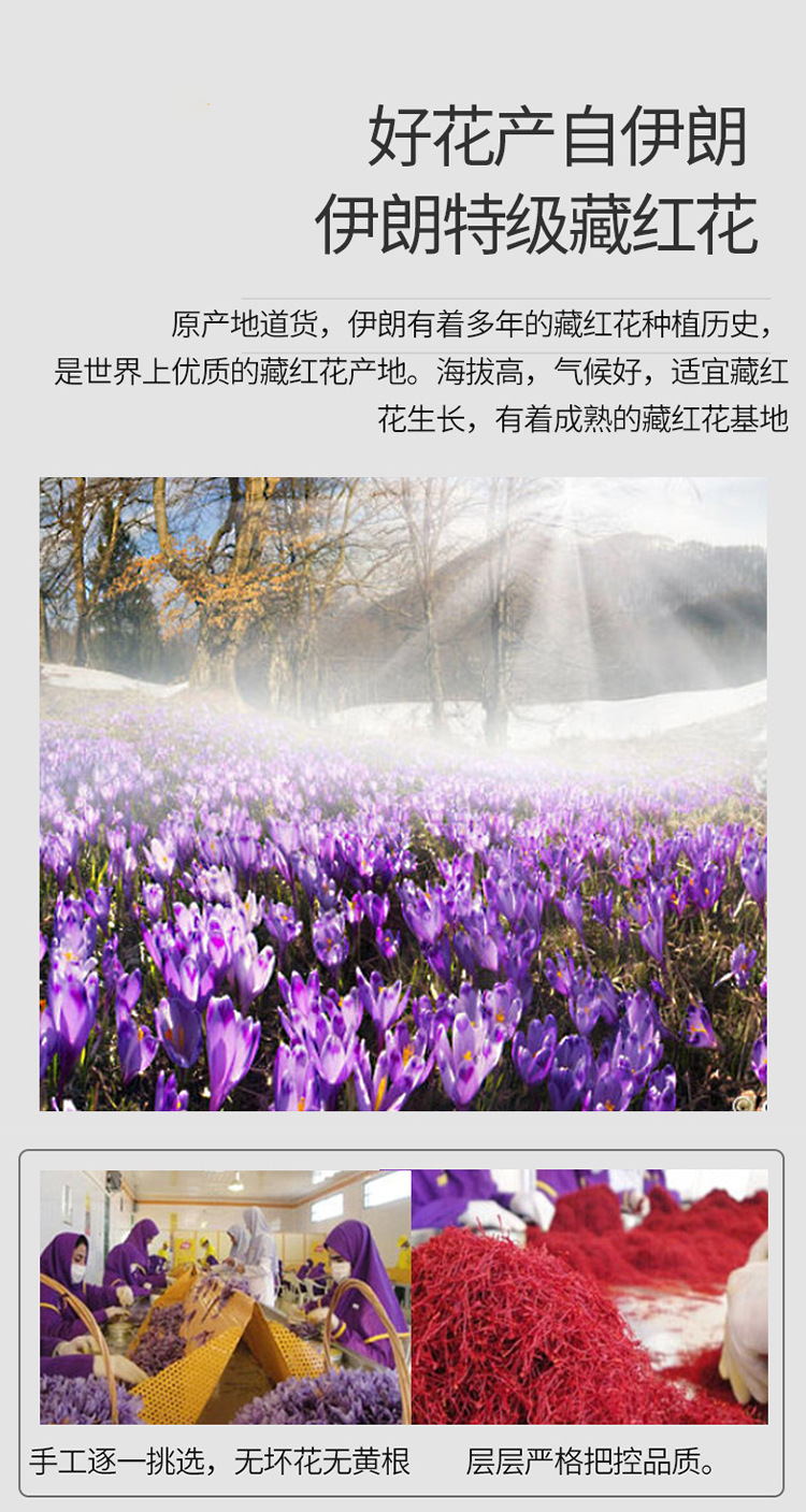 2245bbd09a822bd3.jpg