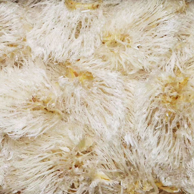 鱼鳍干货菊花翅深海新鲜水产鱼胶佛跳墙酒店食材孕妇滋补煲汤中号菊花