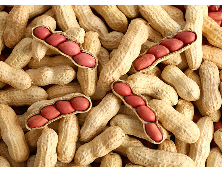 红皮花生米生新鲜晒干带壳花生种子原味散装四粒红衣花生5斤 生的红皮