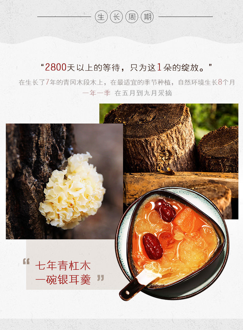 环境通江银耳椴木银耳白木耳丑耳原产地干货段木糯耳 通江段木银耳