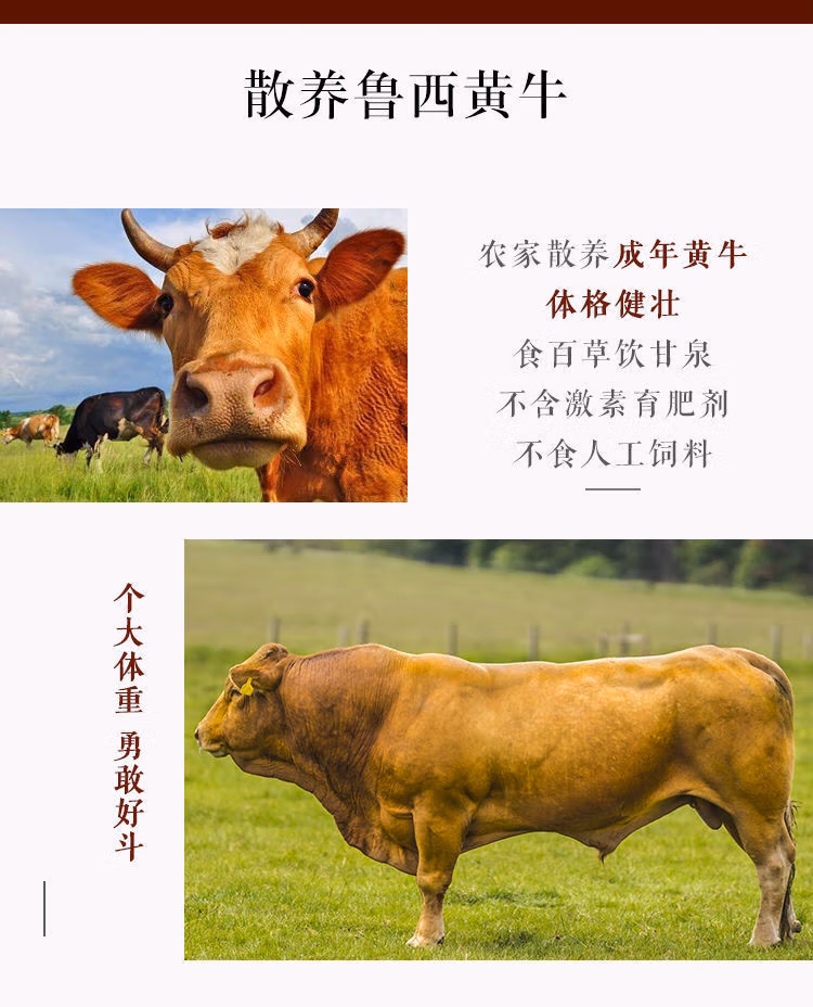 c27469e56b654b95.jpg.avif
