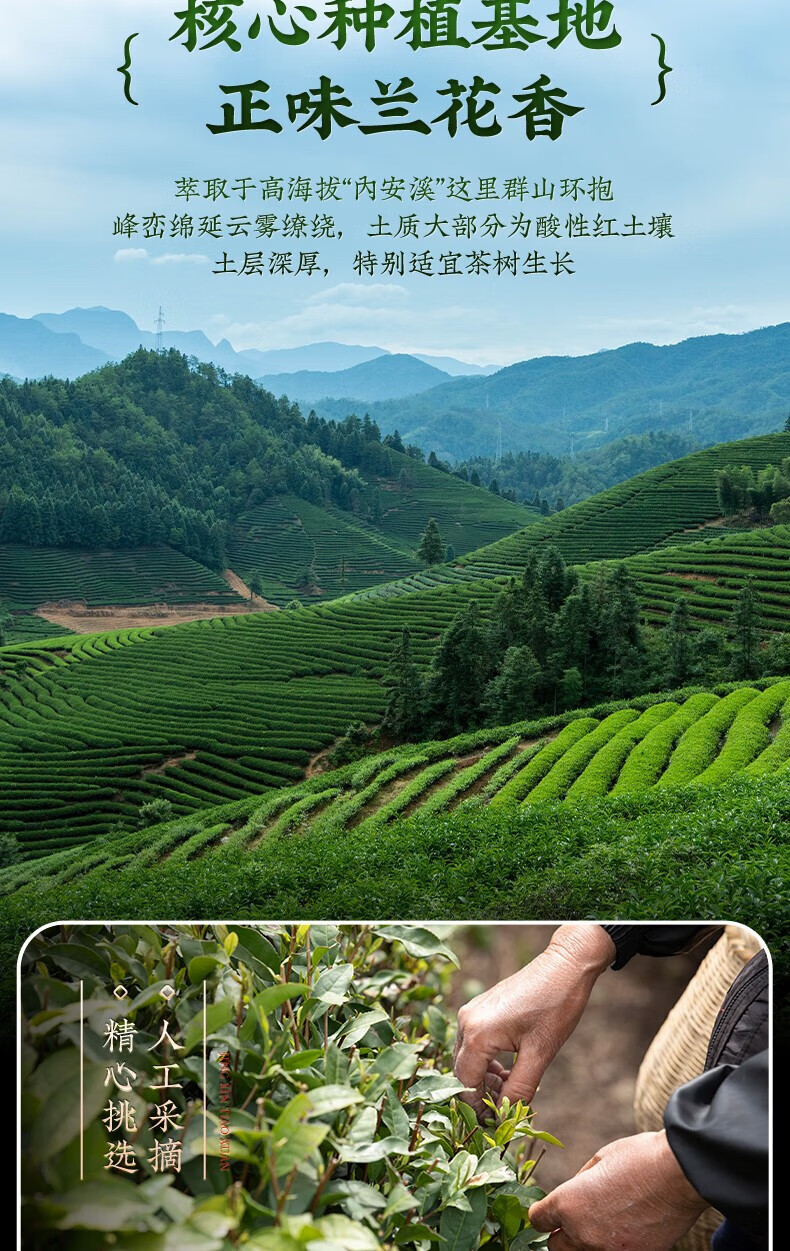 de2f883055bbdaa9.jpg