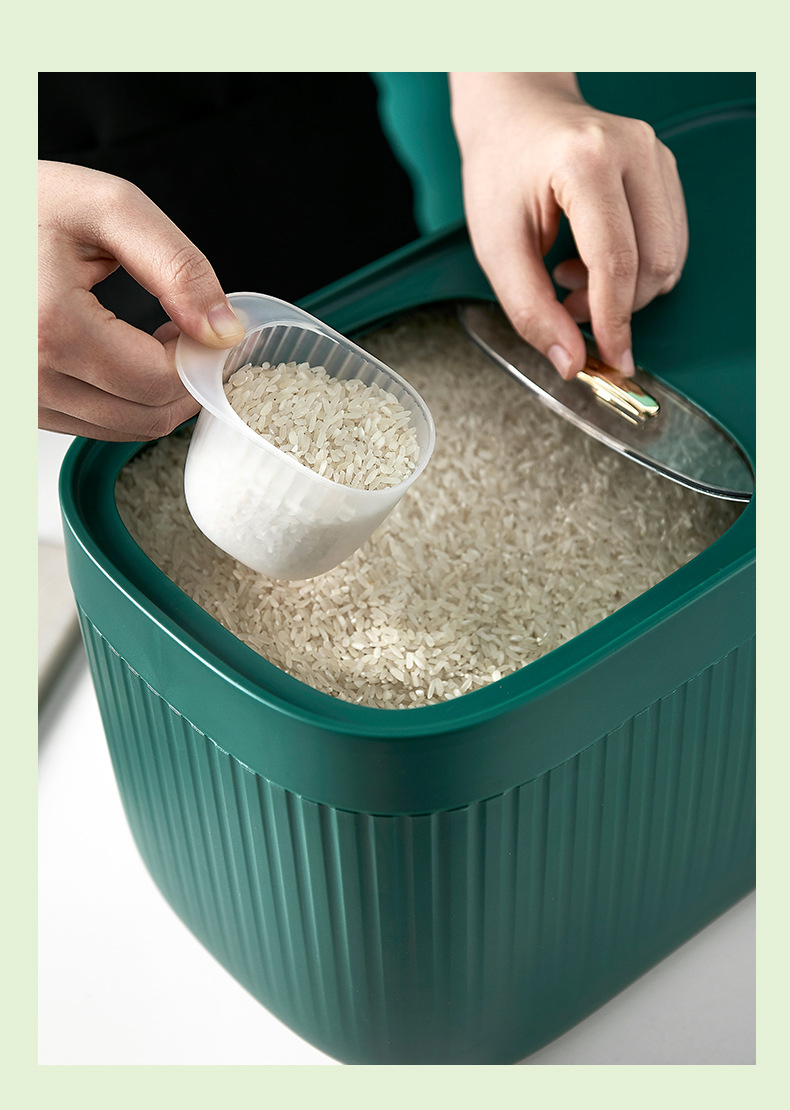 放米的容器装米桶家用防虫防潮密封神器大米收纳盒米缸储米桶面粉储存