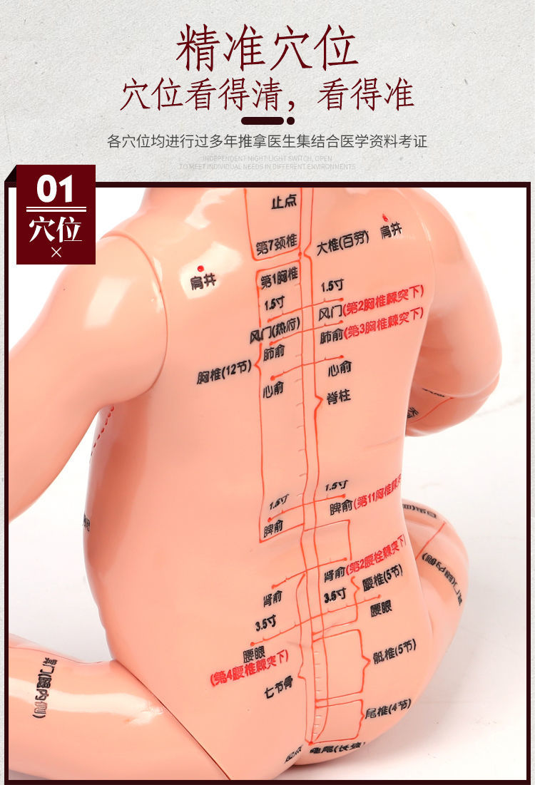 小儿推拿模型练手娃娃全身穴位模型仿真婴儿宝宝按摩月嫂培训教学