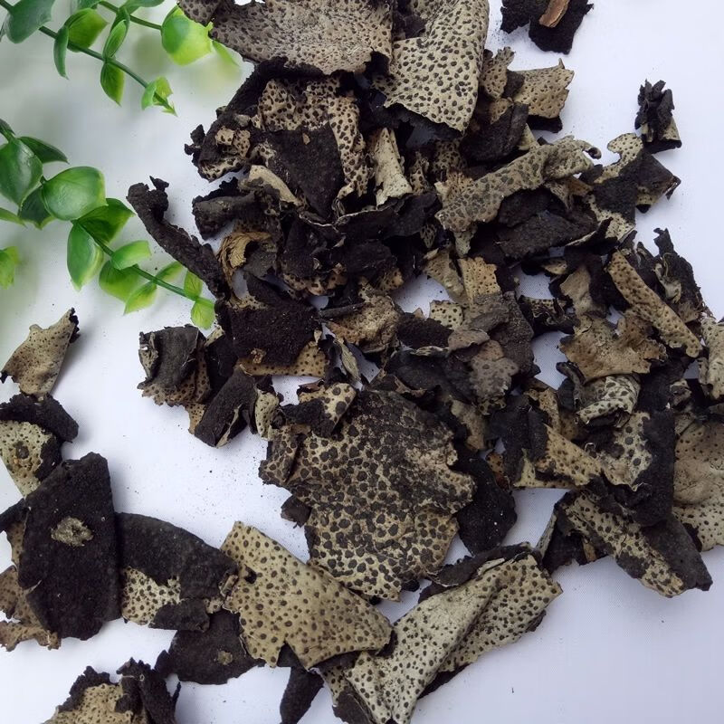 蒂去根石菇石木耳黄山石衣岩耳非黑木耳野生菌干货 500克【图片 价格